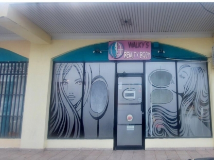 Beauty Salon for Rent, Condado del Rey