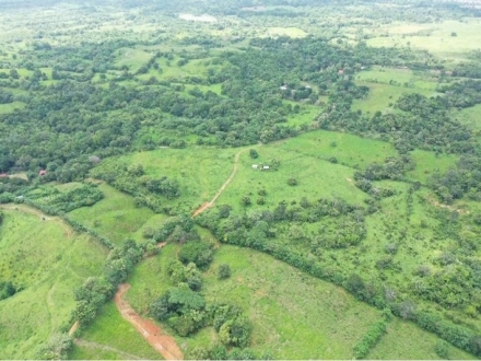 Land for sale in Tanara, Chepo