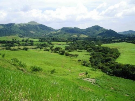 Terreno/Granja