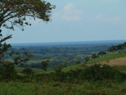 Terreno/Granja