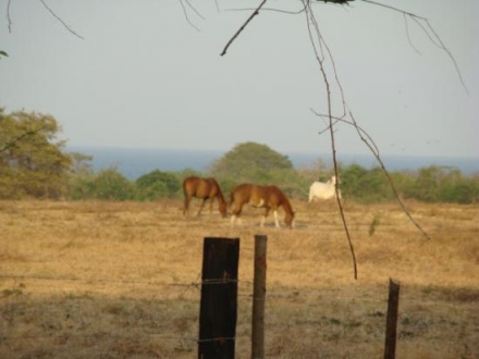 Terreno/Granja