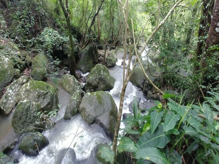 Terreno/Granja