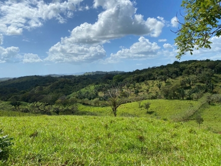 Terreno/Granja