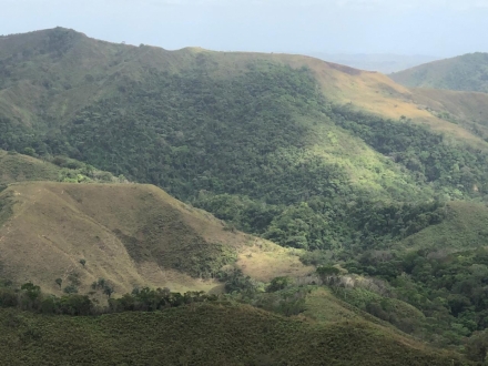 Terreno/Granja