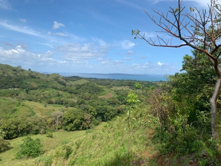 Terreno/Granja