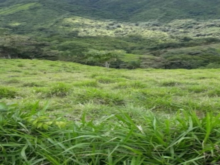 Terreno/Granja