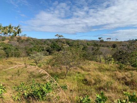 Terreno/Granja