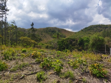 Terreno/Granja