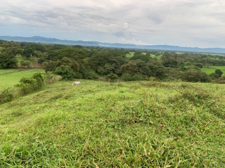 Terreno/Granja