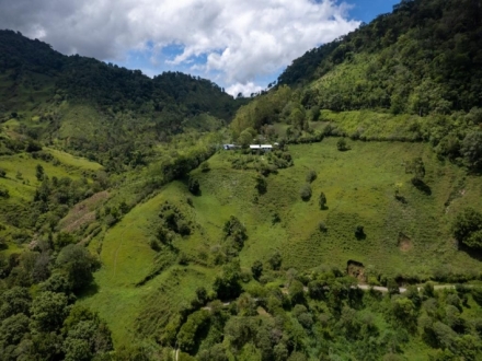 Terreno/Granja