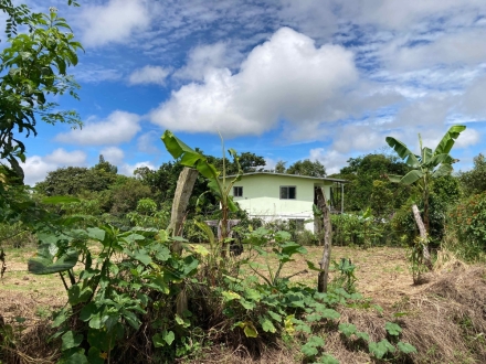 Single Family House