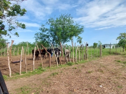 Terreno/Granja