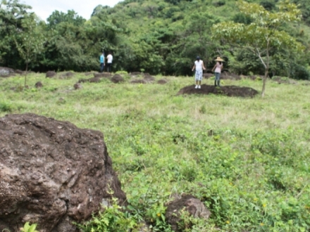 Terreno/Granja