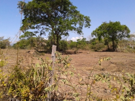 Terreno/Granja