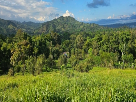 Terreno/Granja