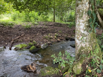 Terreno/Granja