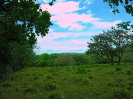 Terreno/Granja