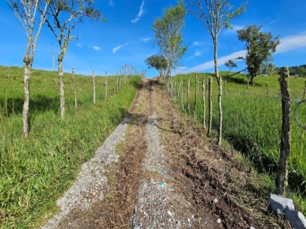 Terreno/Granja