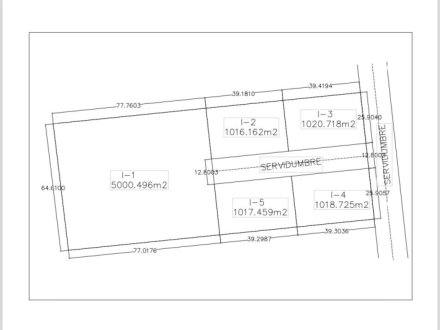 PID 44551