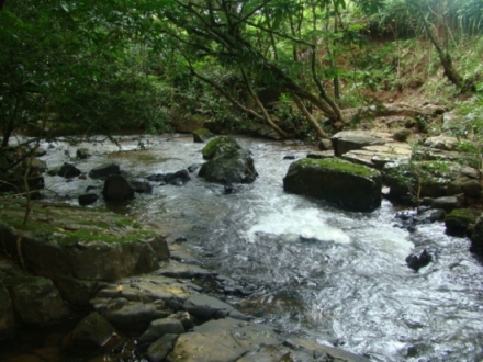 Terreno/Granja