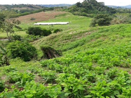 Terreno/Granja