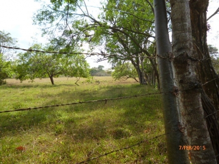 Terreno/Granja