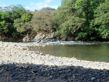 Terreno/Granja