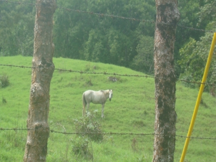 Terreno/Granja