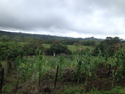 Terreno/Granja