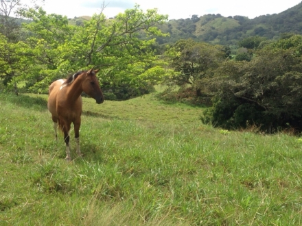 Terreno/Granja