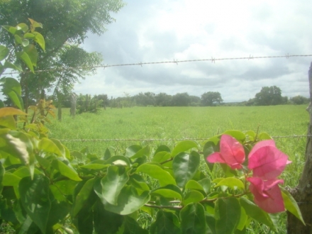 Terreno/Granja