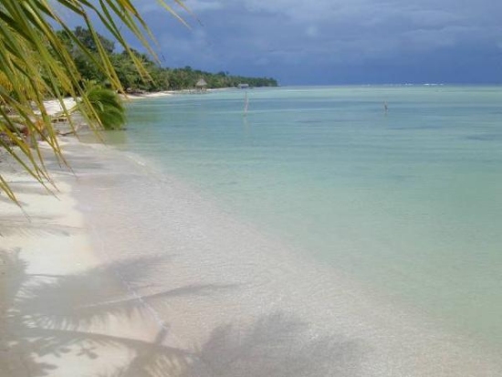 Beaches of Bocas del Toro