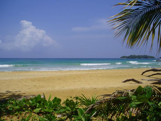 Redfrog Beach, Rainforest Resort & Marina